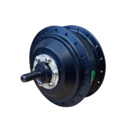 BLDC motor 250W/36V zadní na kazetu - 20